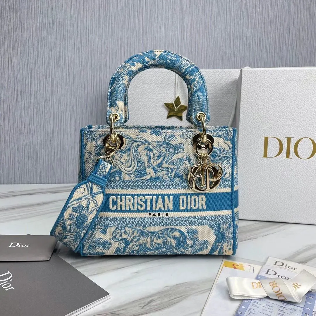 Dior bag - LITELUX