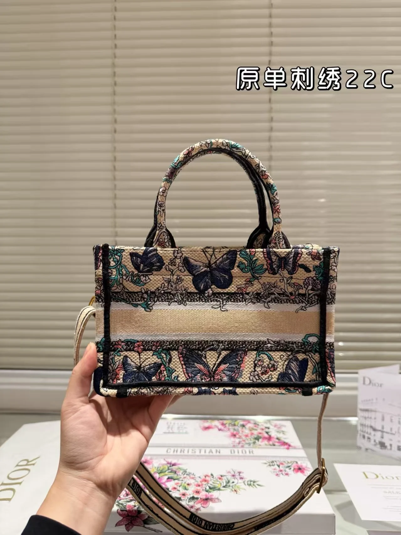 2025 Dior book tote - LITELUX