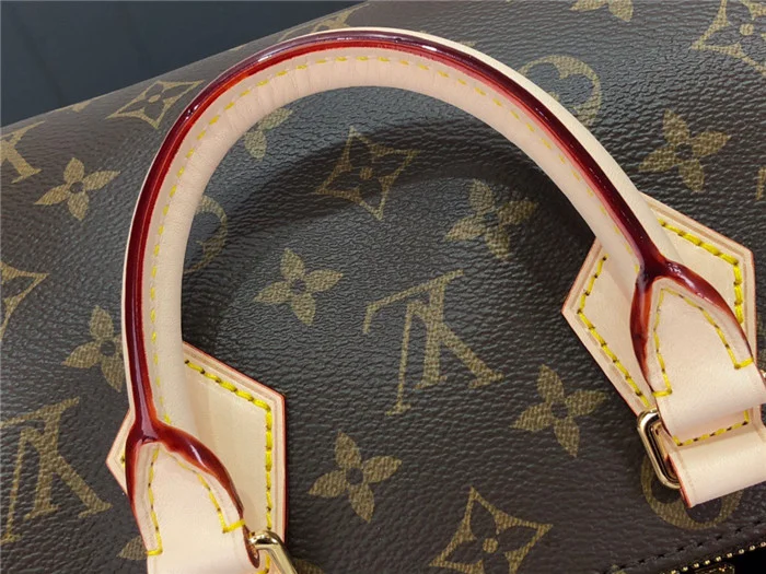 Louis Vuitton Bag - LITELUX