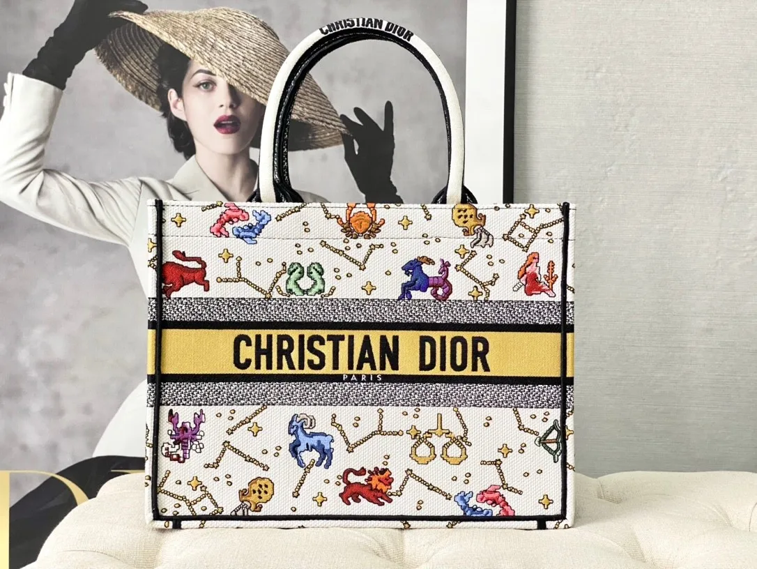 Dior Bag  – 121542201 - LITELUX