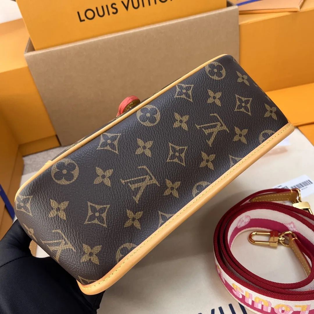 Louis Vuitton bag - LITELUX