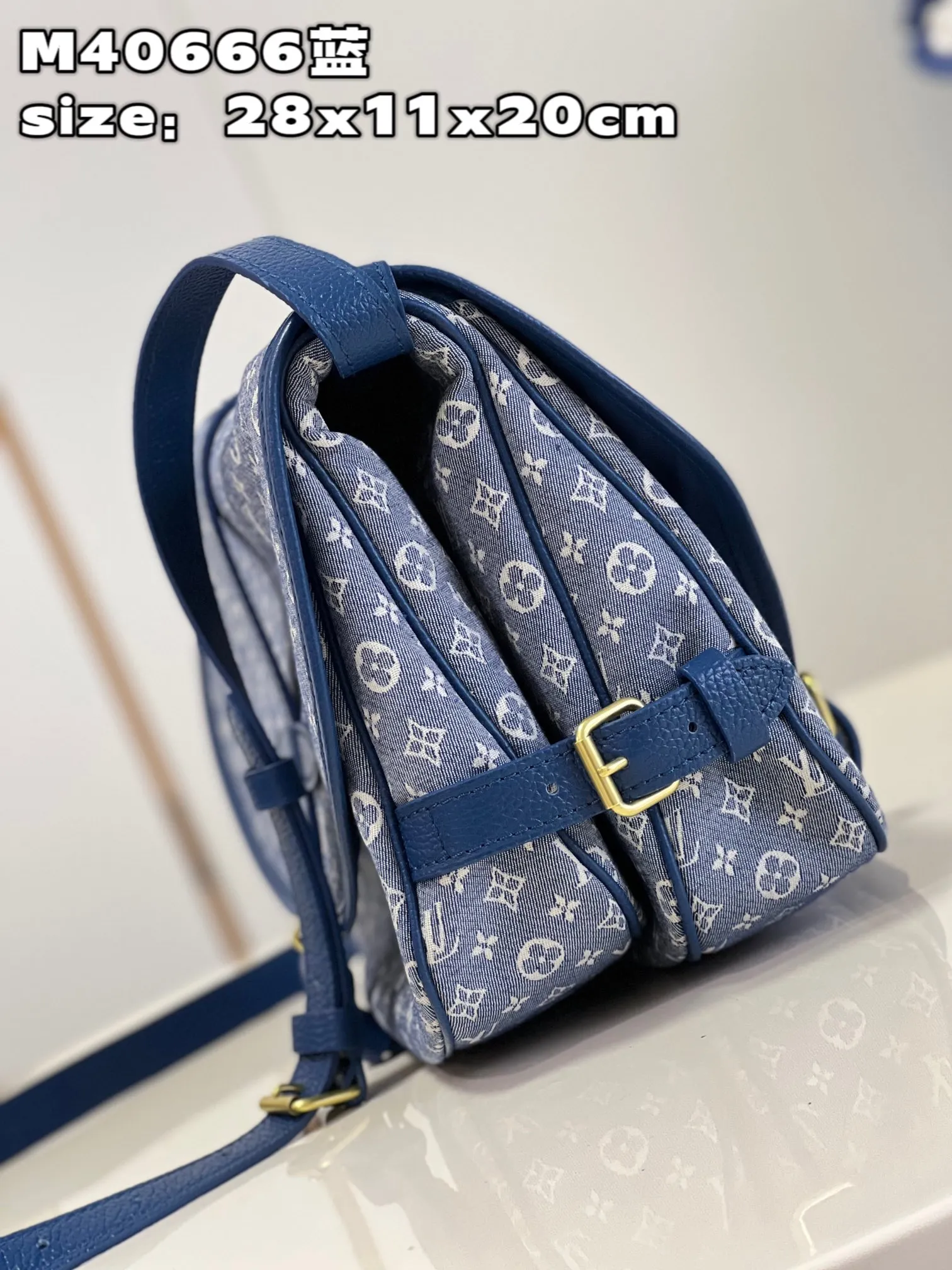 Louis Vuitton bag - LITELUX