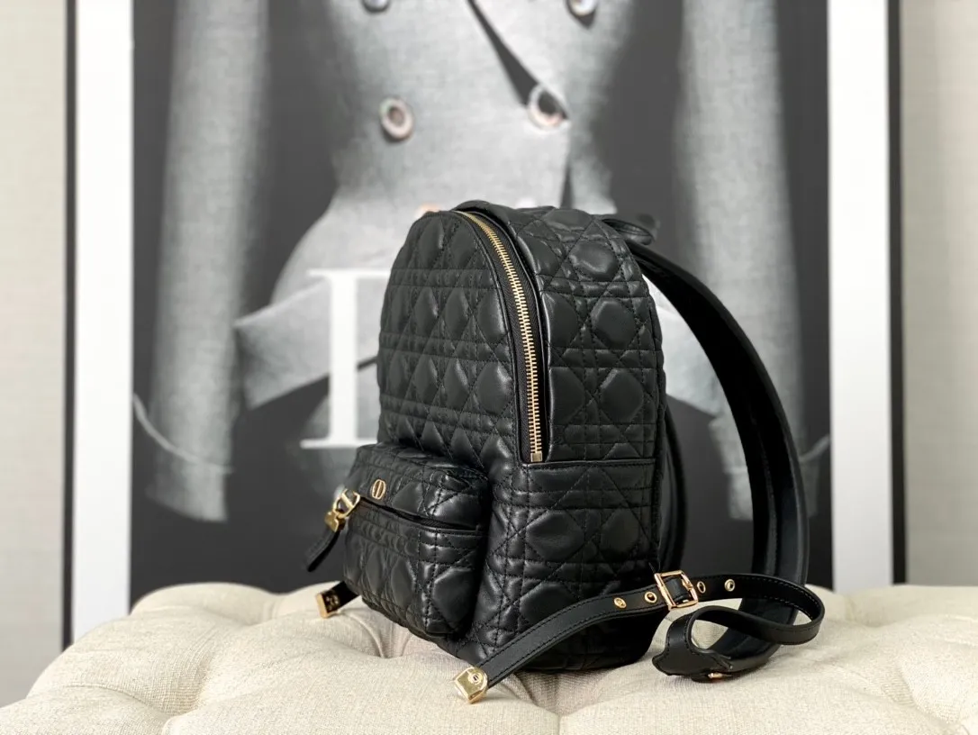 Dior Bag  – 116234150 - LITELUX