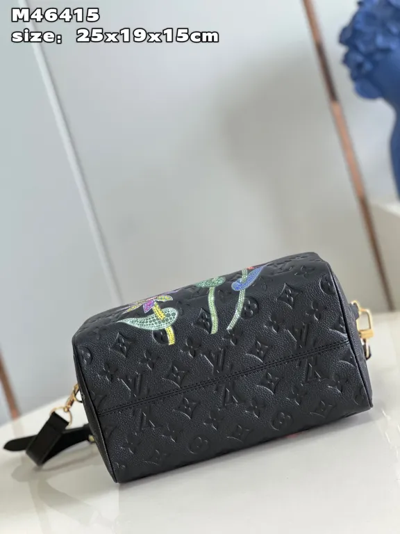 Louis Vuitton bag - LITELUX