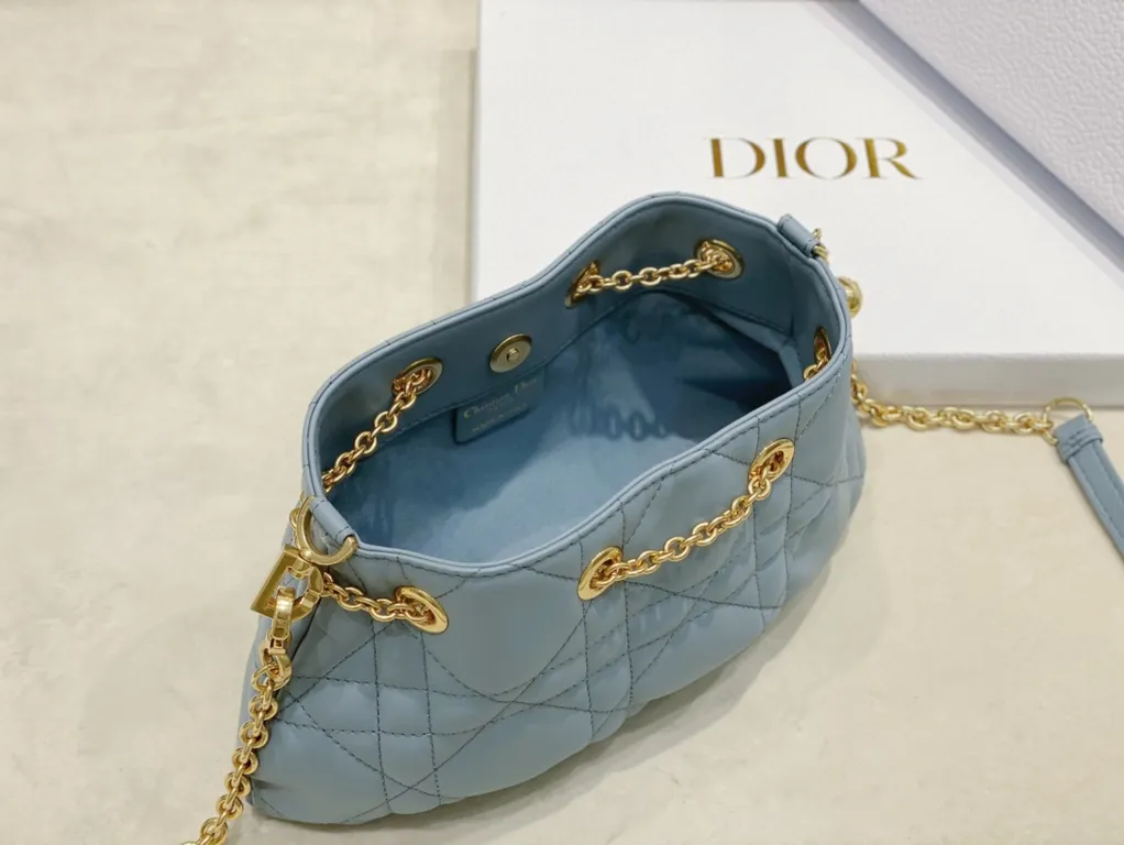 Dior bag - LITELUX