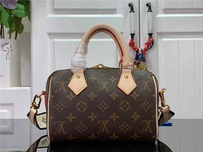 Louis Vuitton Bag - LITELUX