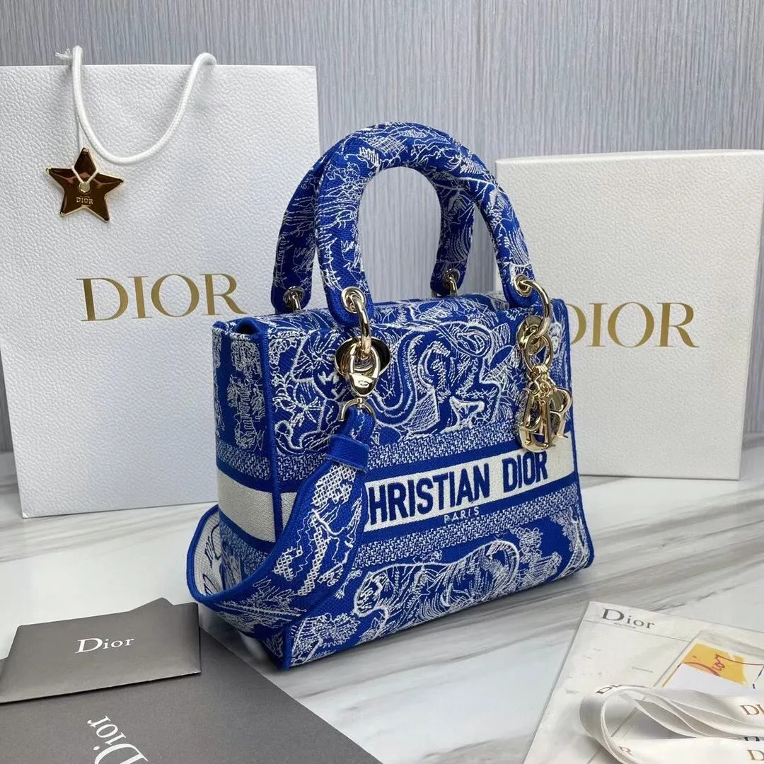 Dior bag - LITELUX