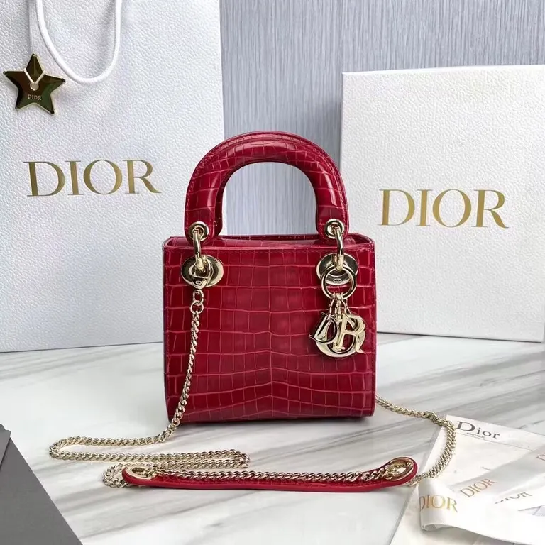 Dior bag - LITELUX