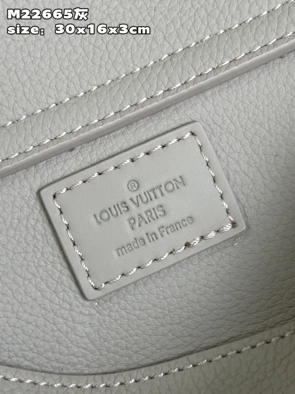 Louis Vuitton bag - LITELUX