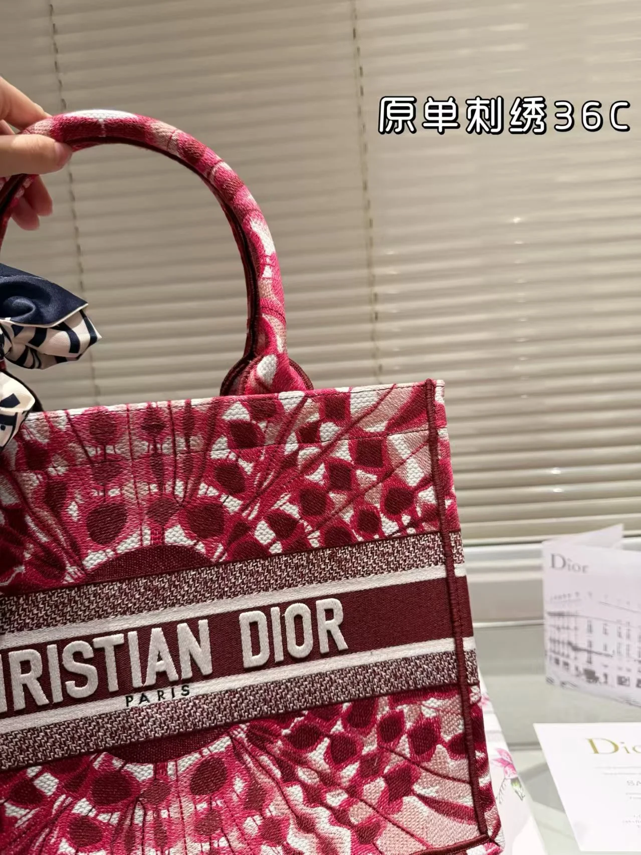 2025 Dior book tote - LITELUX
