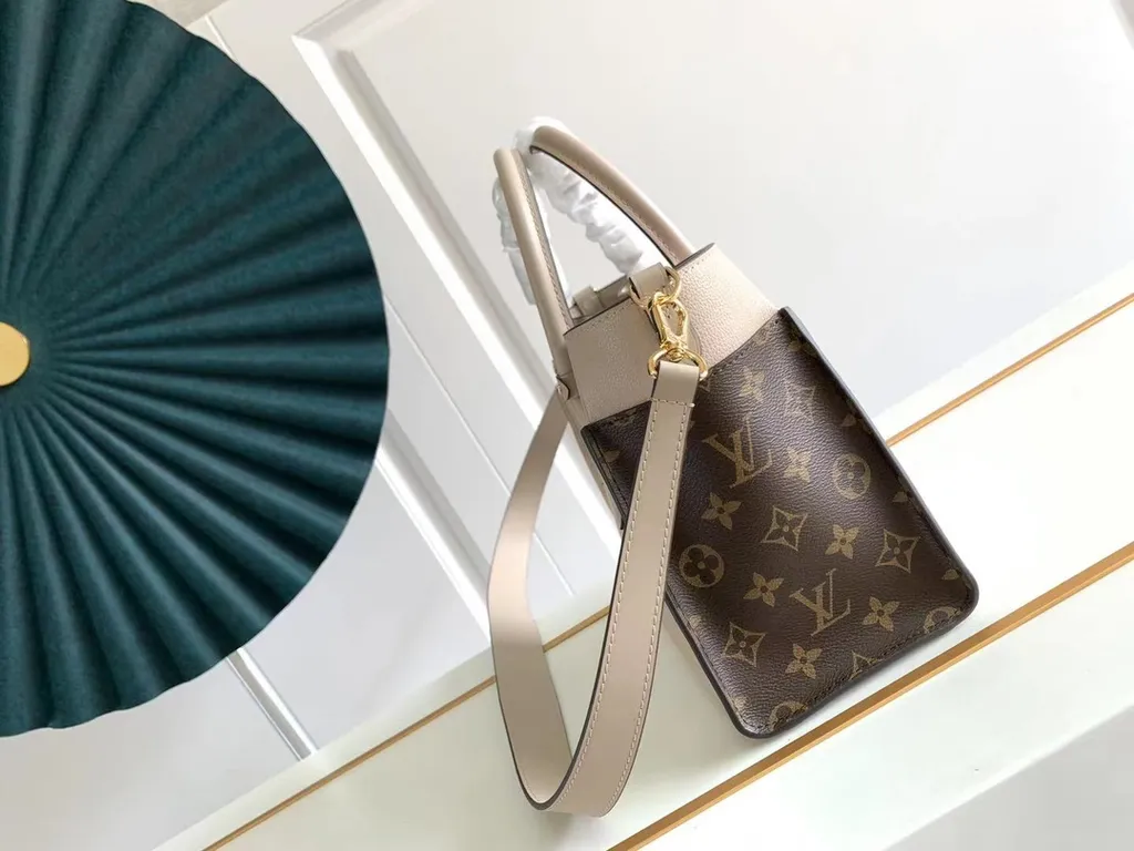 Louis Vuitton bag - LITELUX