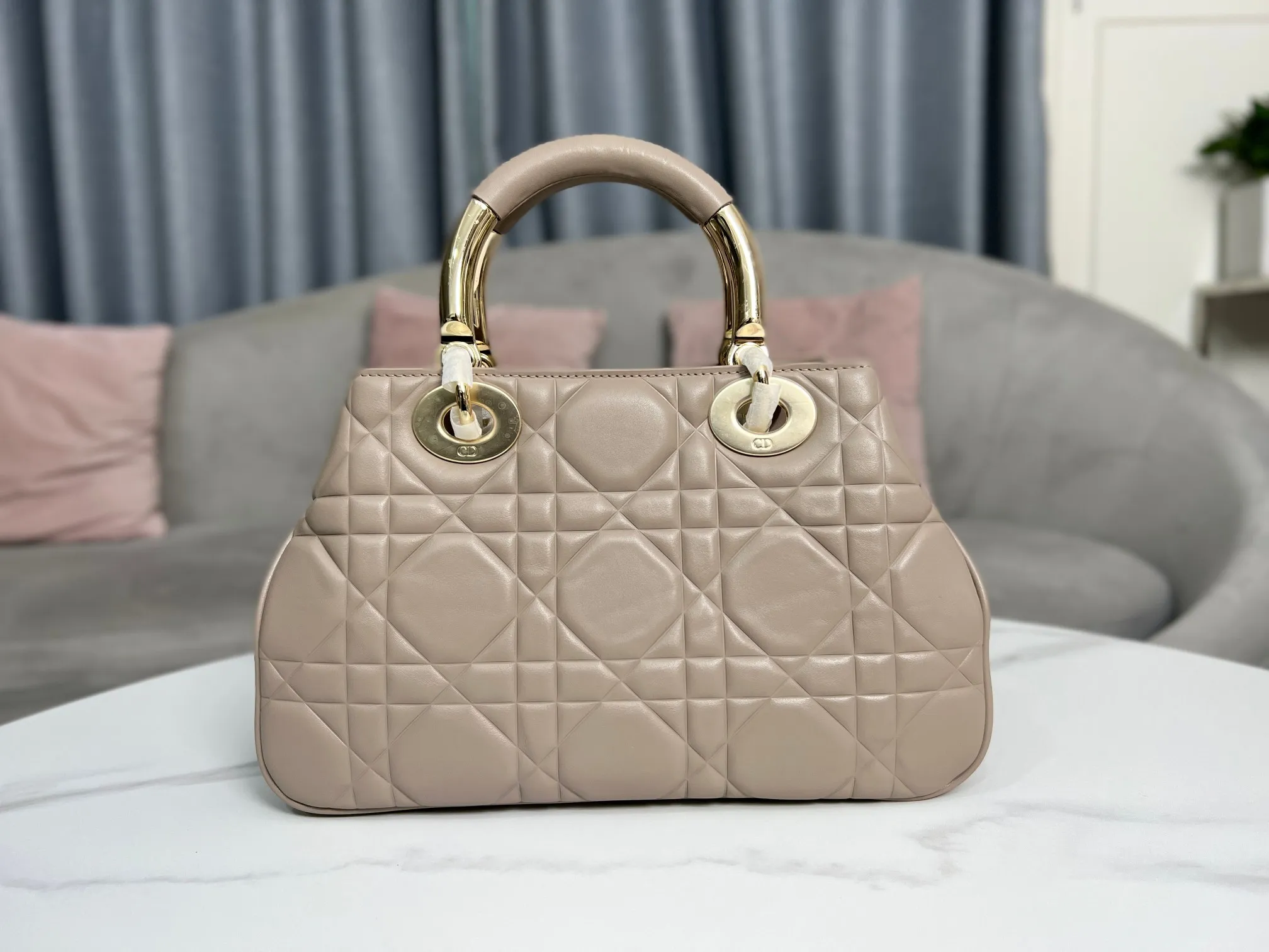 Dior bag - LITELUX
