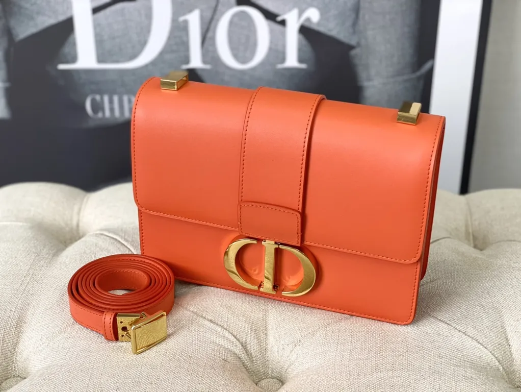 Dior bag - LITELUX