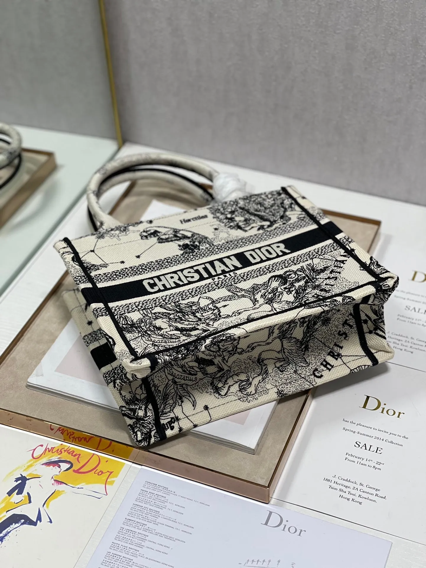 Dior Bag  – 113170438 - LITELUX