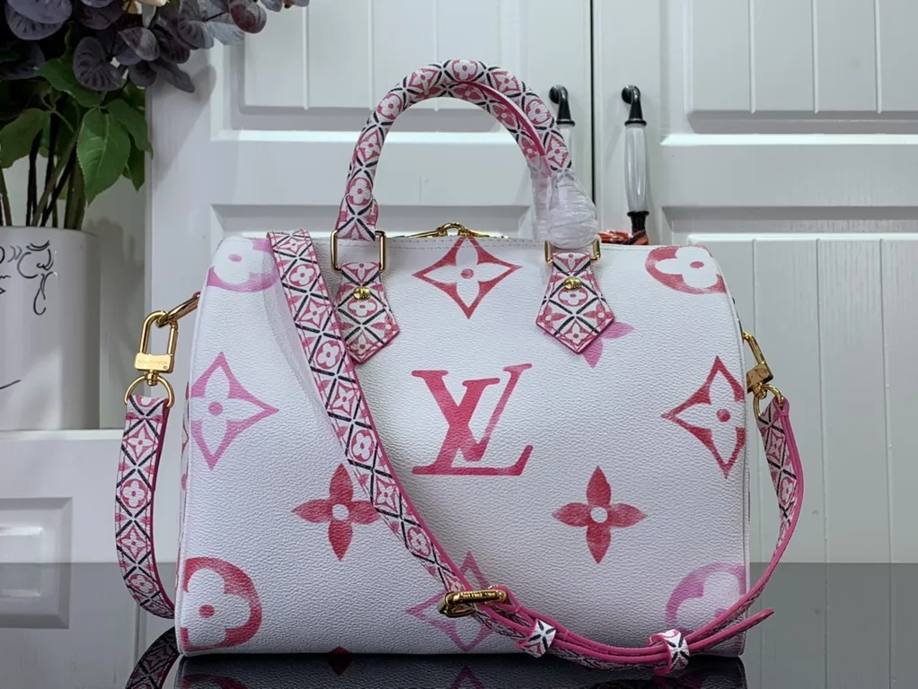 Louis Vuitton bag - LITELUX