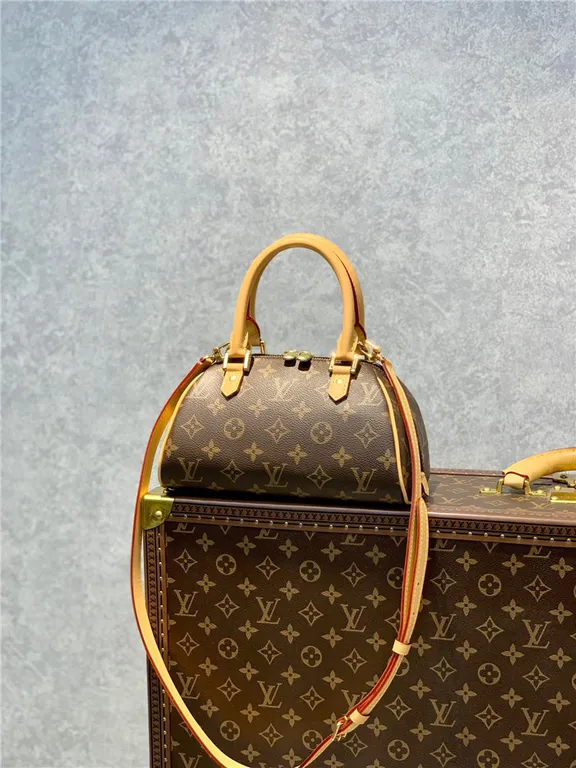 Louis Vuitton Bag - LITELUX