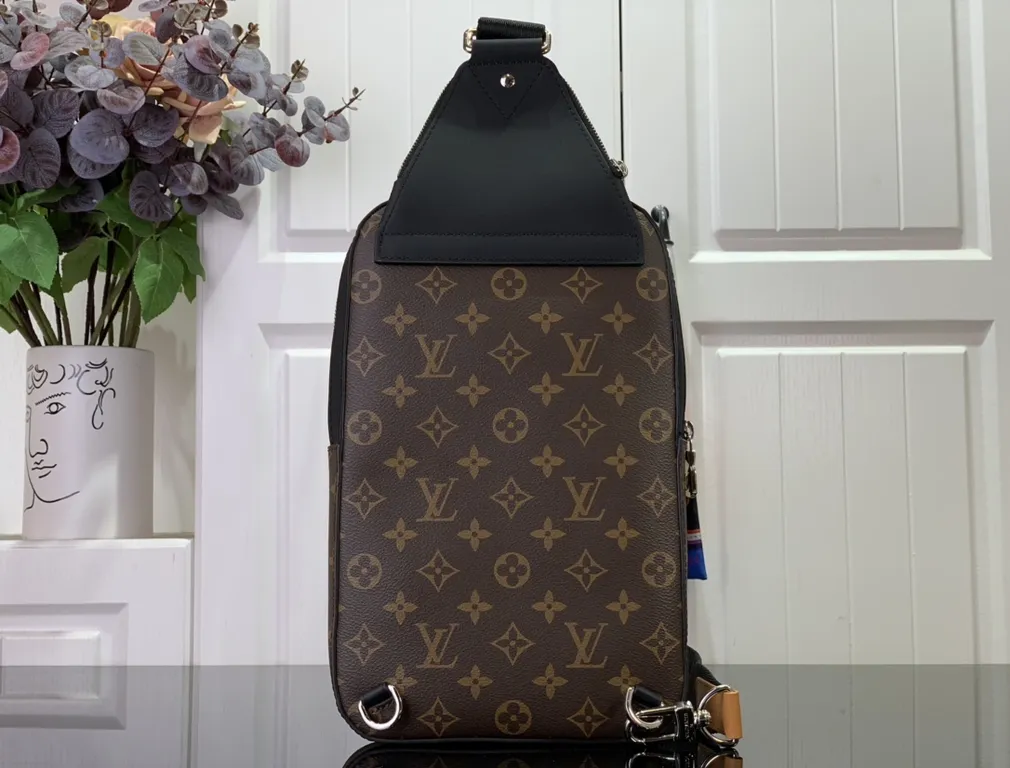 Louis Vuitton bag - LITELUX