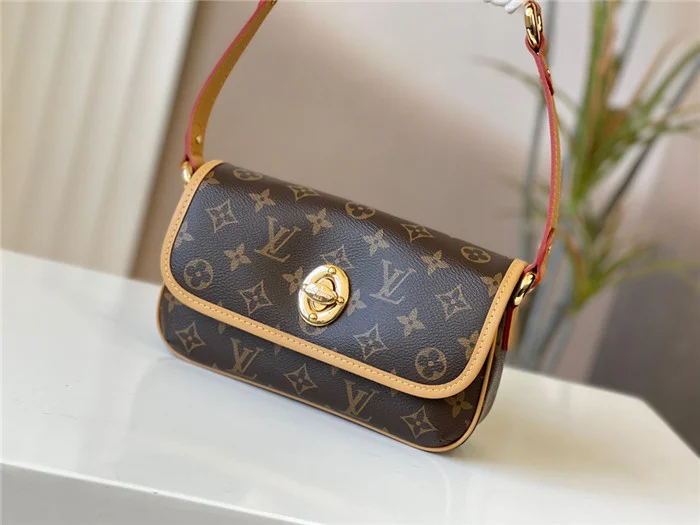 Louis Vuitton Bag - LITELUX