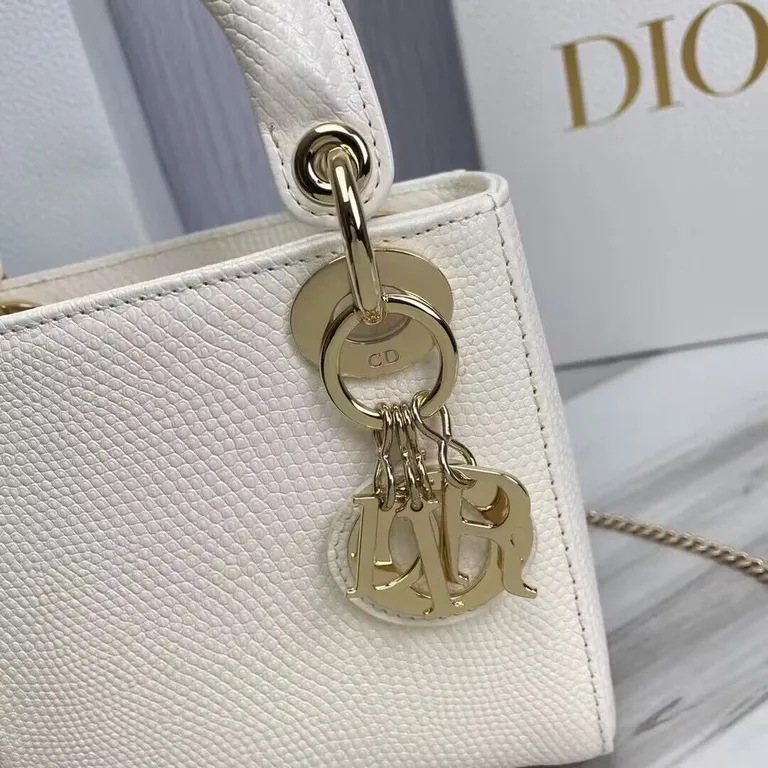 Dior bag - LITELUX