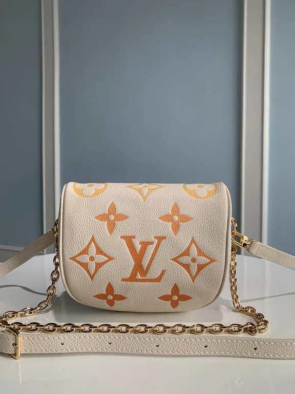 Louis Vuitton bag - LITELUX
