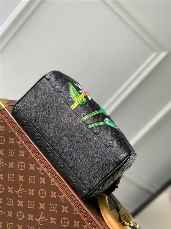 Louis Vuitton Bag - LITELUX