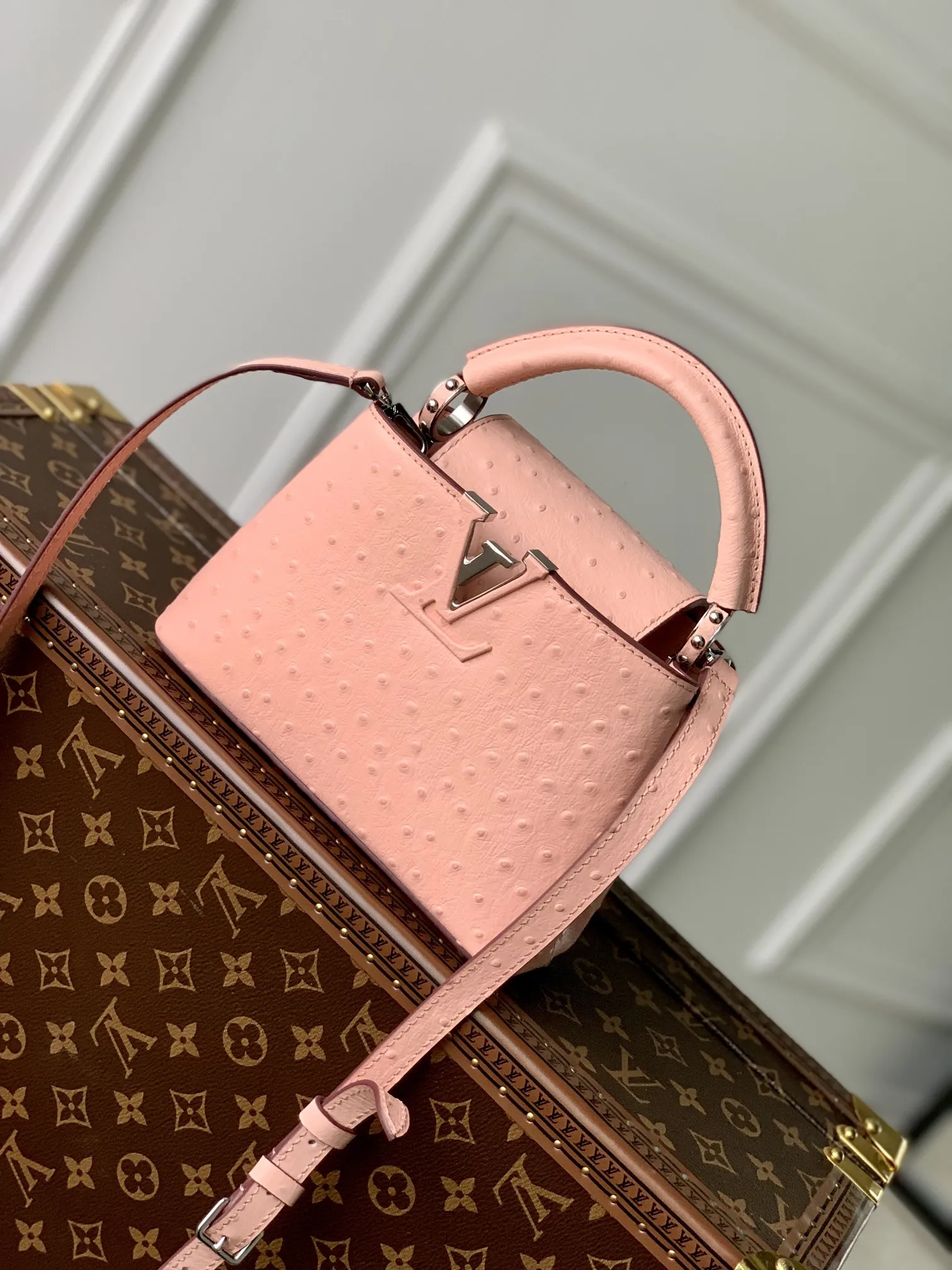 Louis Vuitton bag - LITELUX