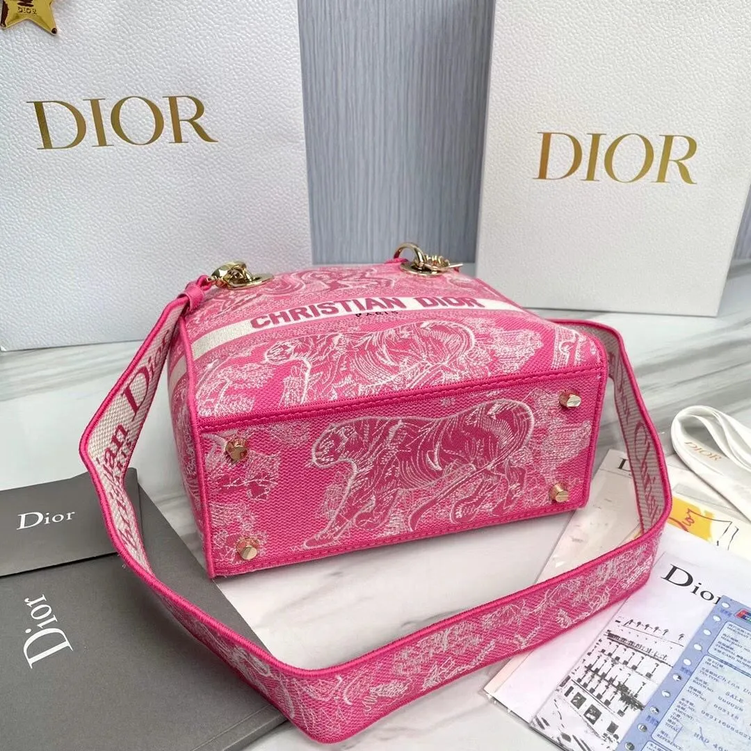 Dior bag - LITELUX
