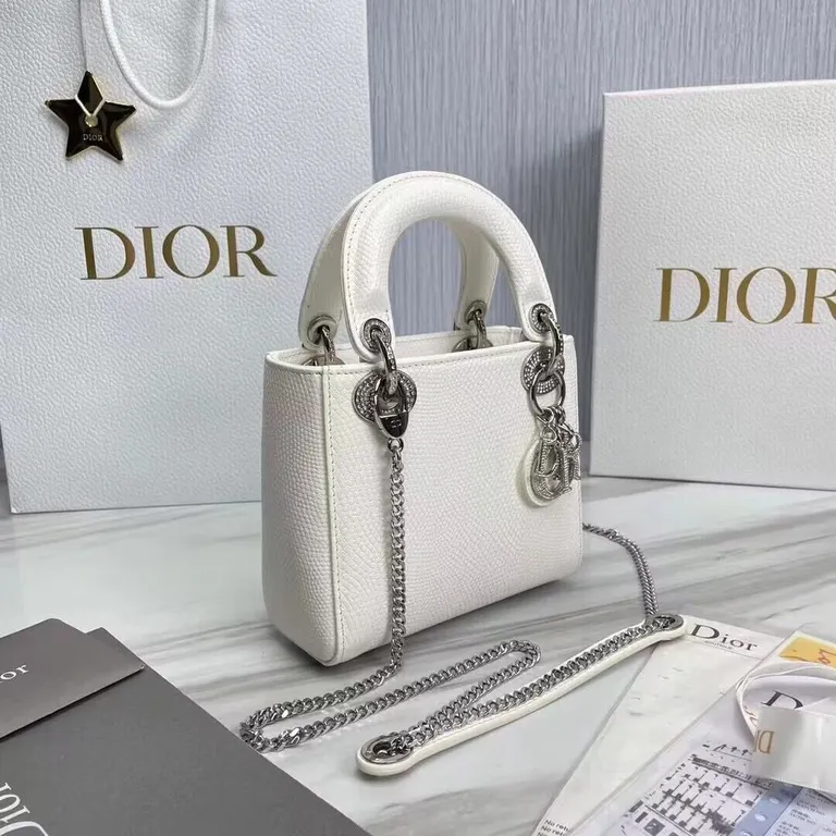 Dior bag - LITELUX