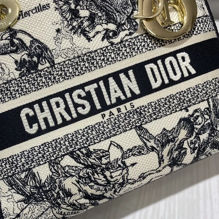 Dior bag - LITELUX