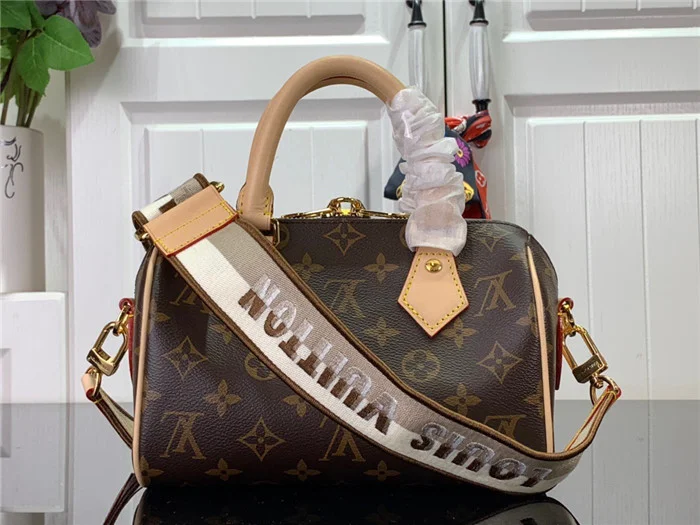 Louis Vuitton Bag - LITELUX