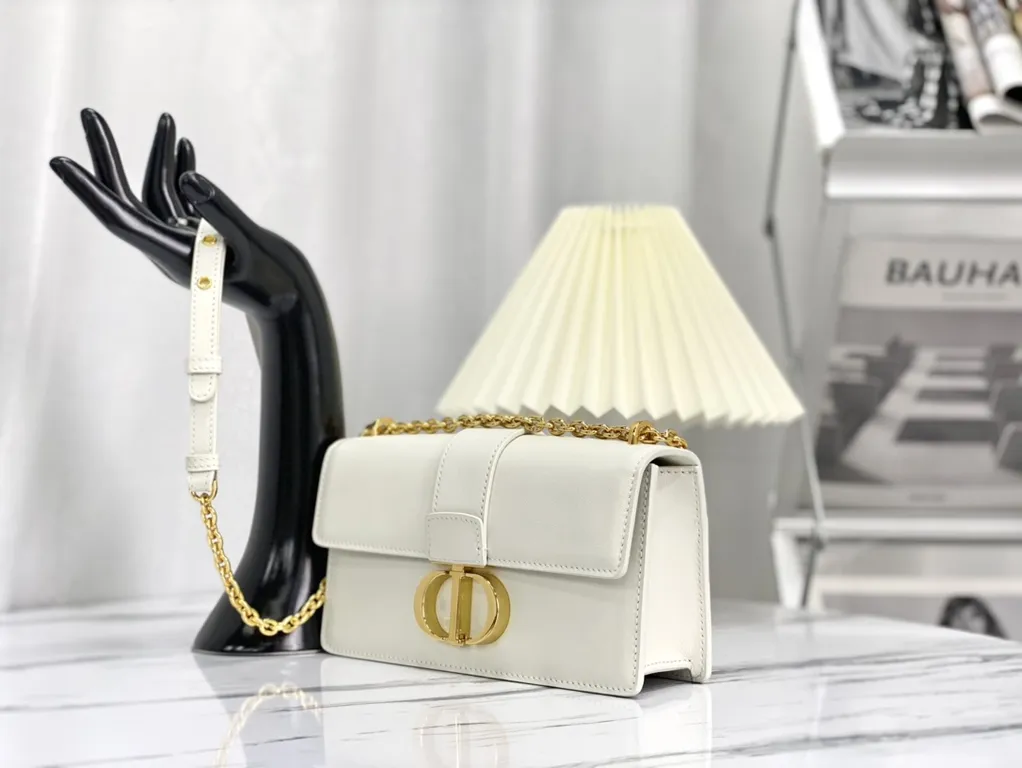 Dior bag - LITELUX