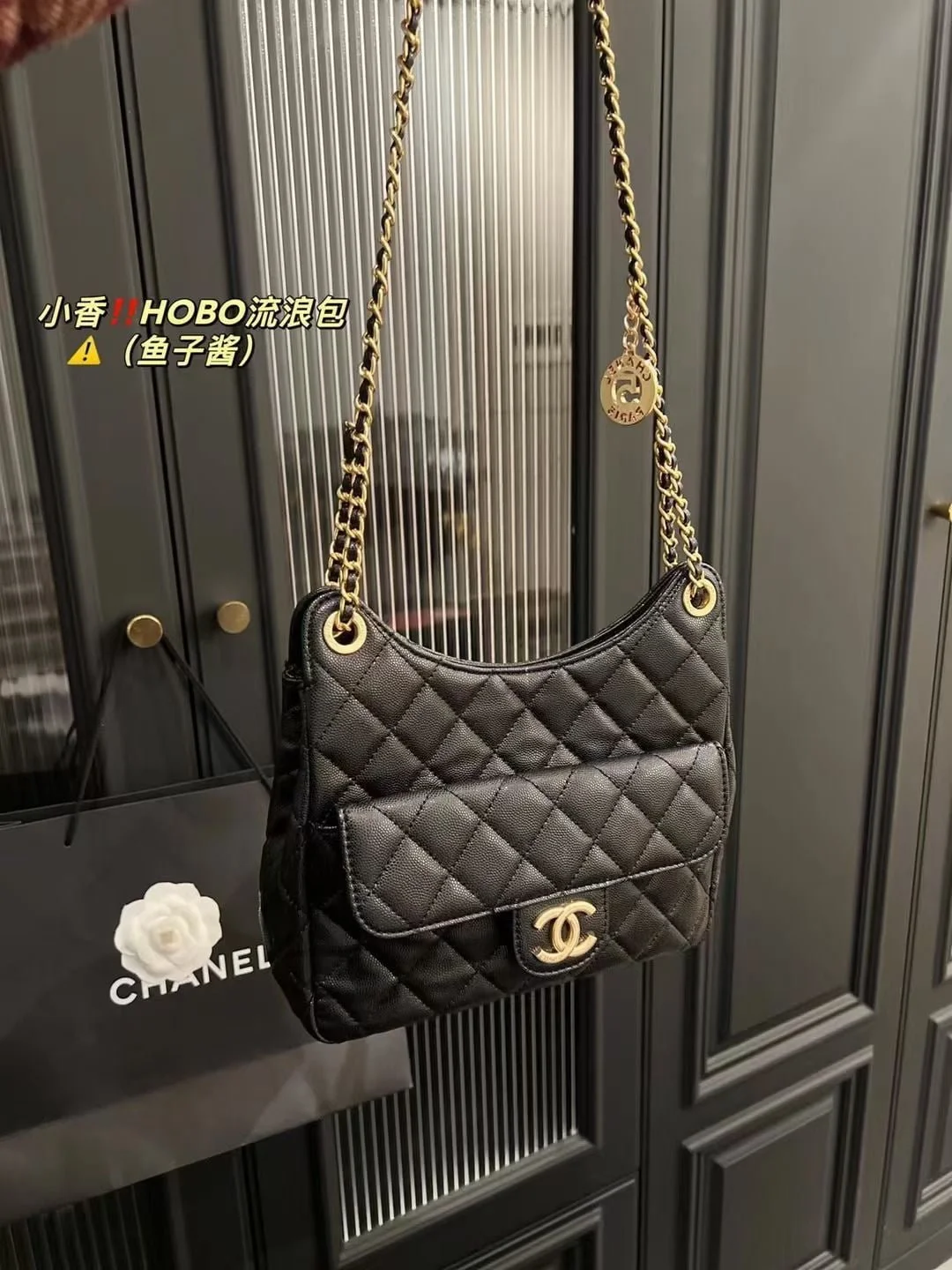 Chanel HOBO bag caviar 3690 size: 22*20cm - LITELUX