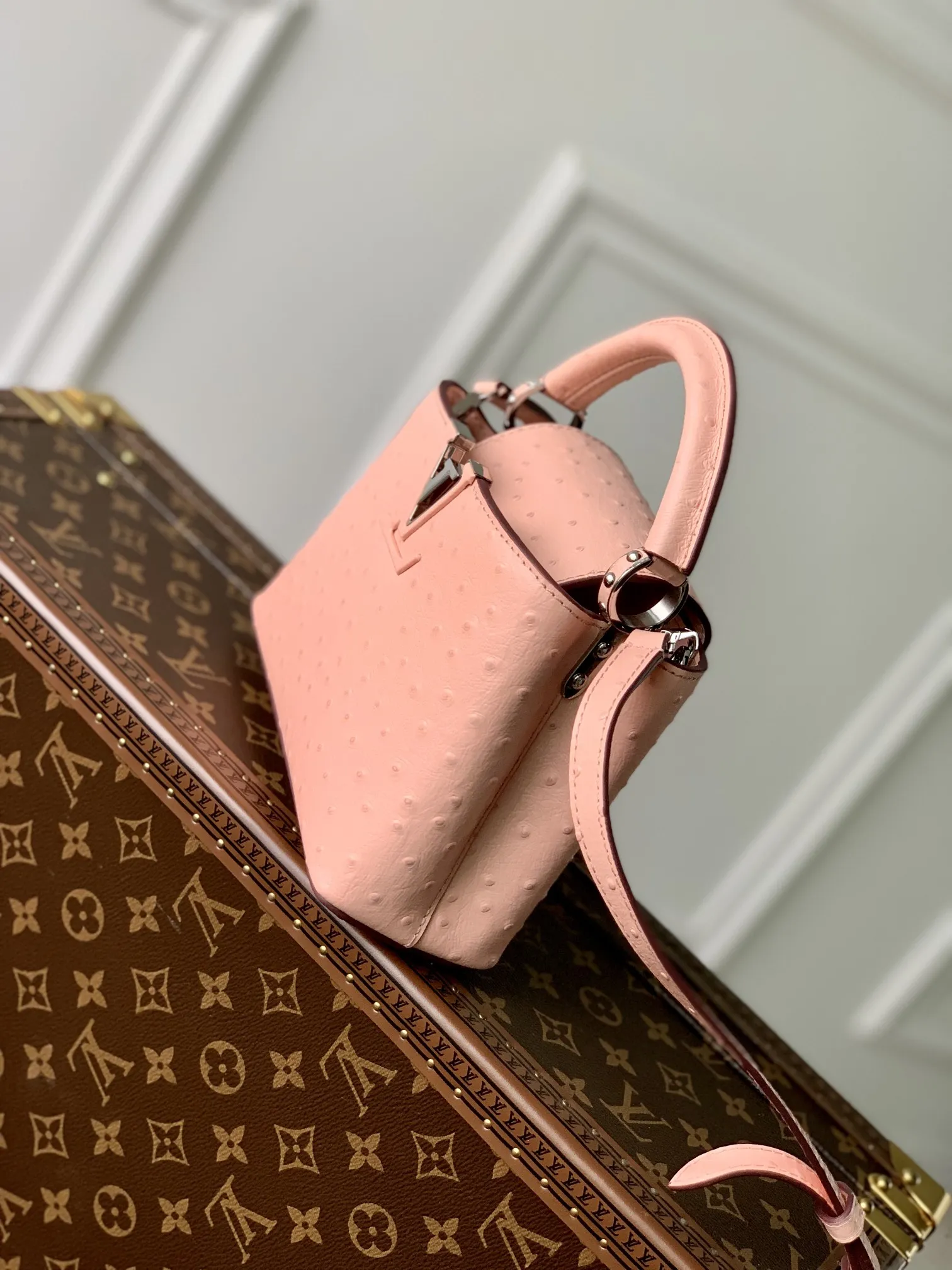 Louis Vuitton bag - LITELUX