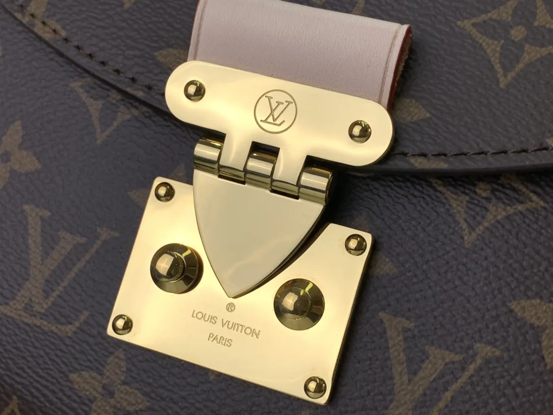 Louis Vuitton bag - LITELUX