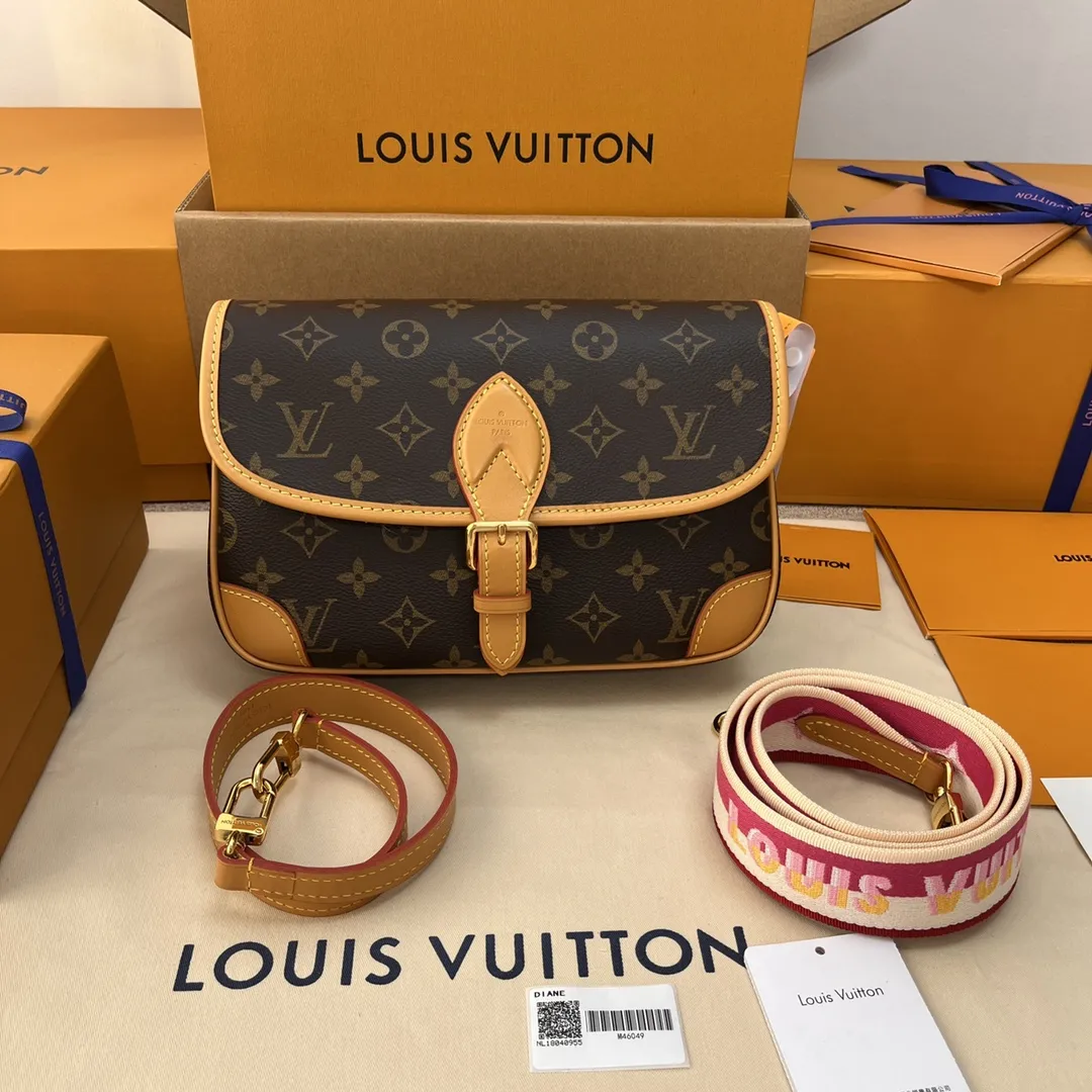 Louis Vuitton bag - LITELUX