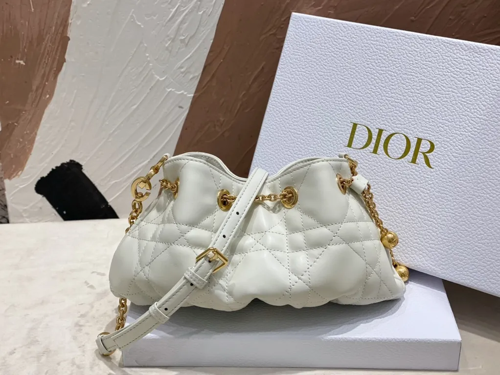 Dior bag - LITELUX