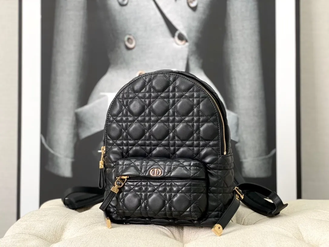 Dior Bag  – 116234150 - LITELUX