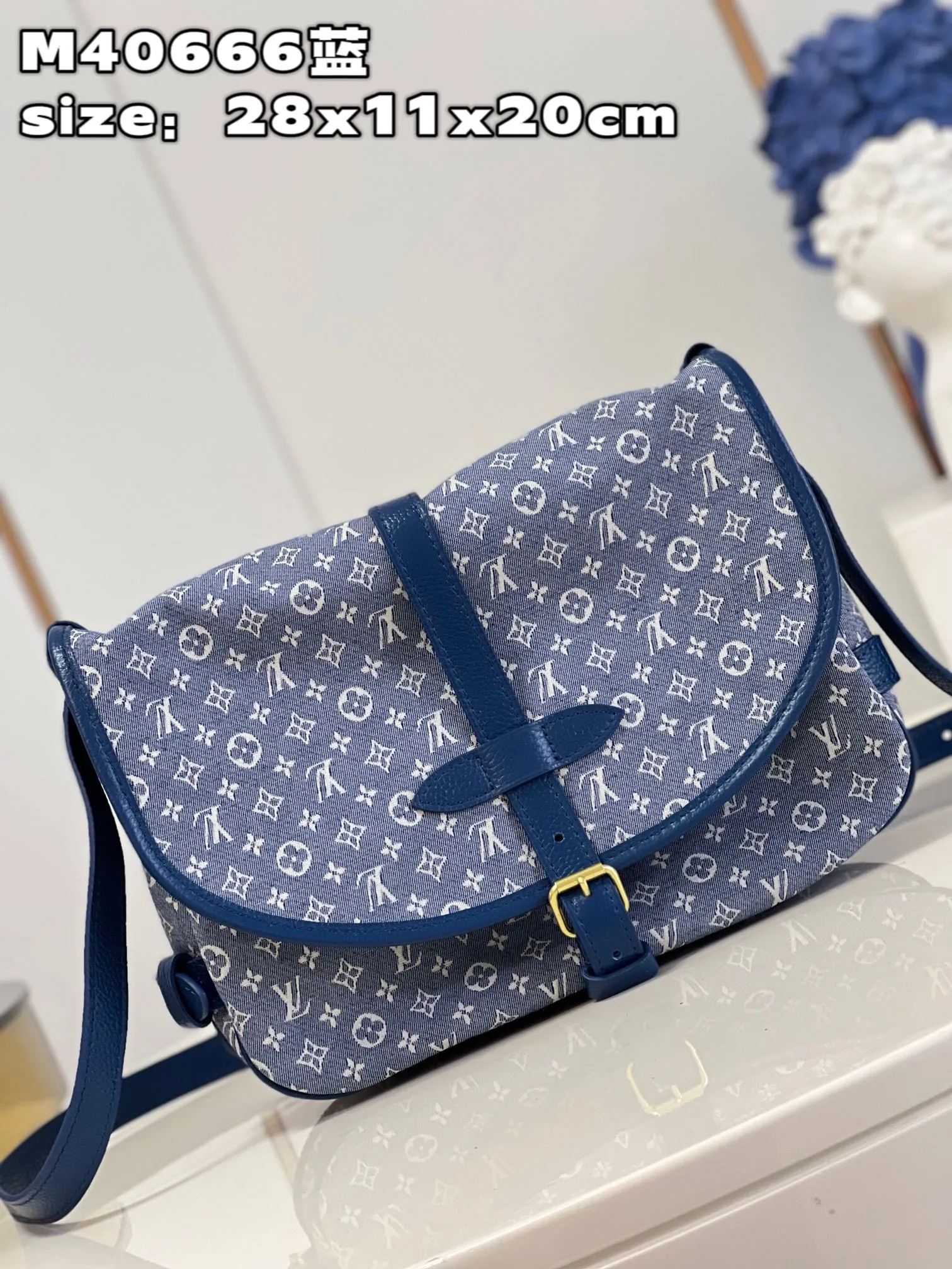 Louis Vuitton bag - LITELUX