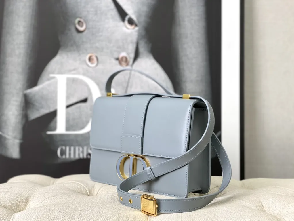 Dior bag - LITELUX
