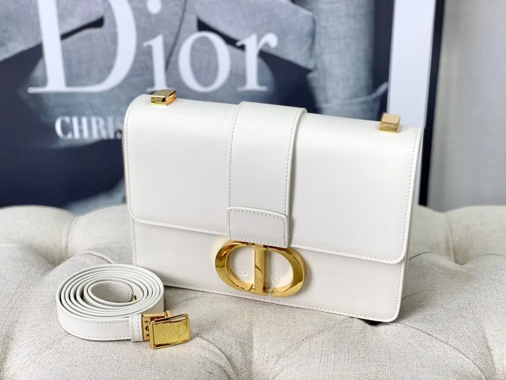 Dior bag - LITELUX