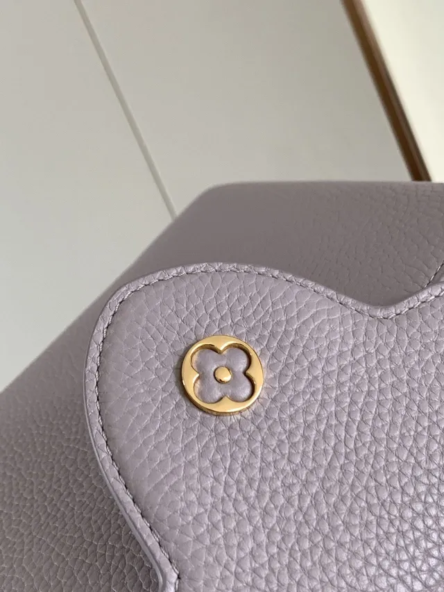 Louis Vuitton bag - LITELUX