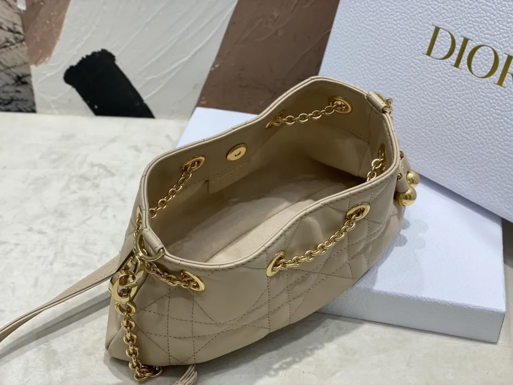 Dior bag - LITELUX