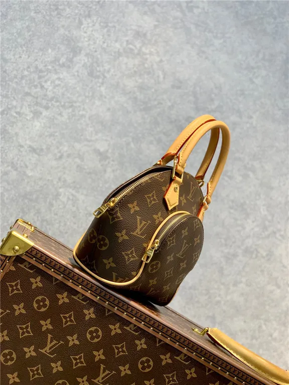 Louis Vuitton Bag - LITELUX