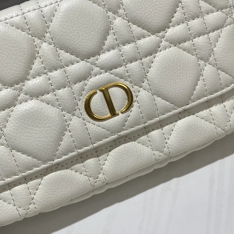 Dior bag - LITELUX