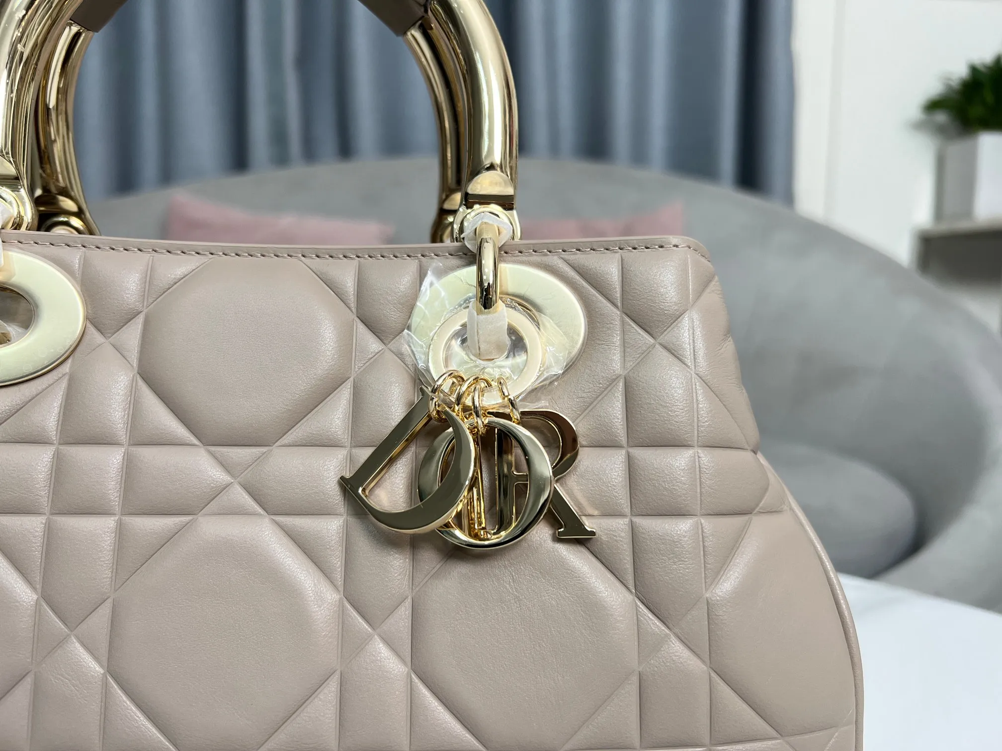 Dior bag - LITELUX