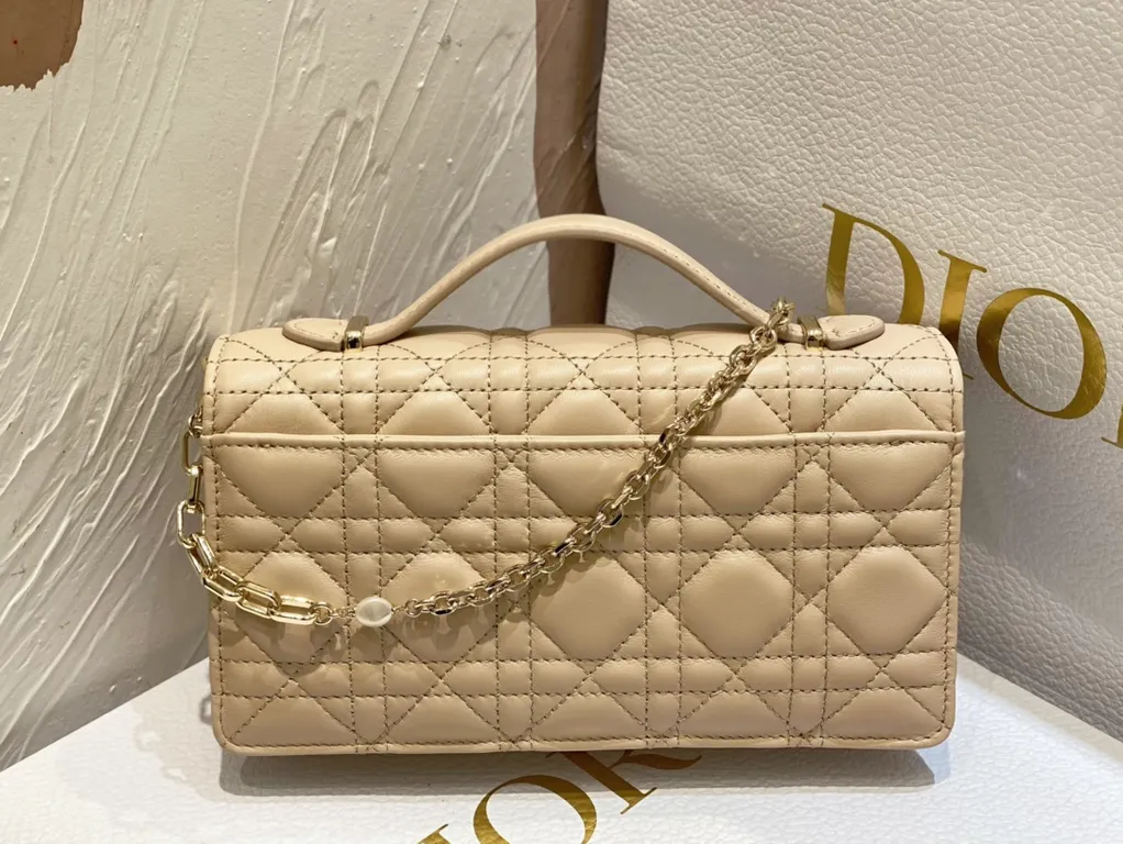 Dior bag - LITELUX