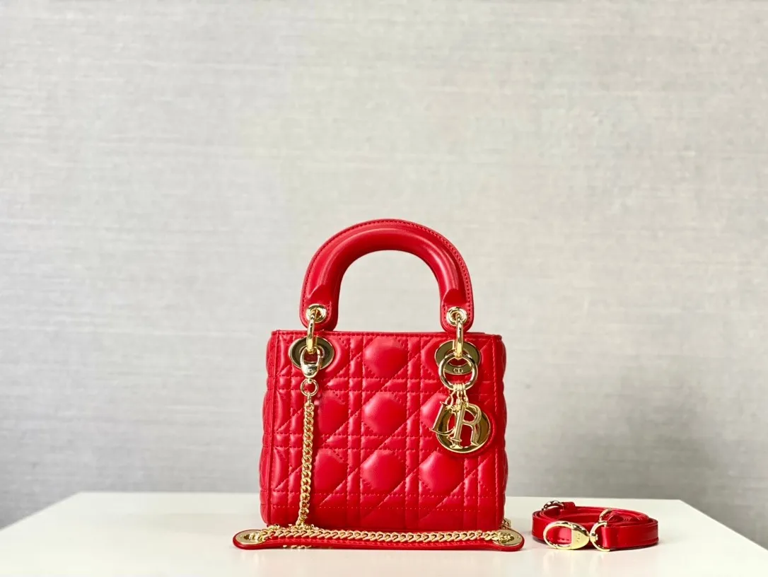 Dior Bag  – 120024881 - LITELUX