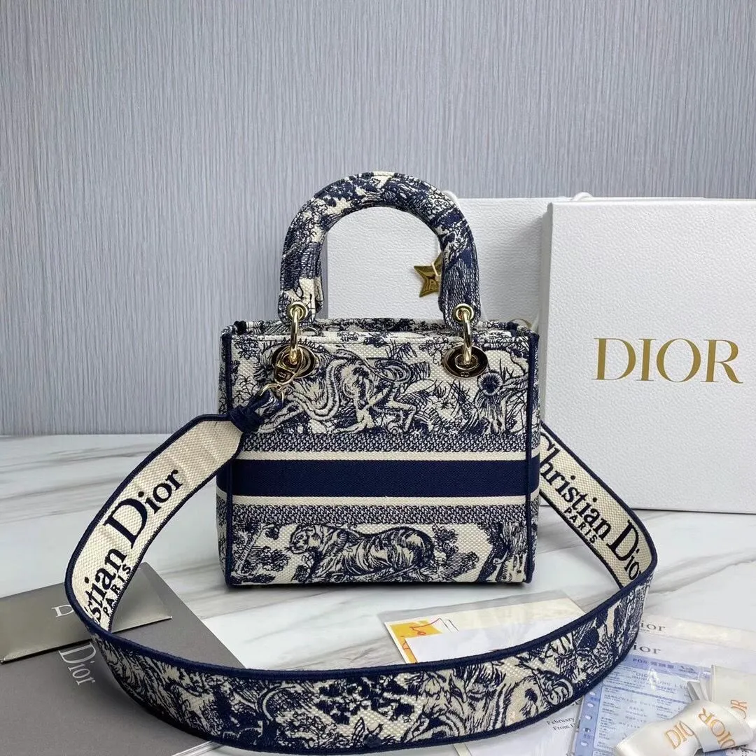 Dior bag - LITELUX
