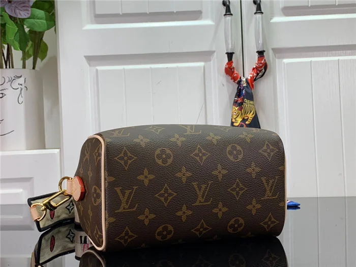 Louis Vuitton Bag - LITELUX