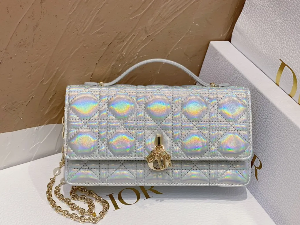 Dior bag - LITELUX